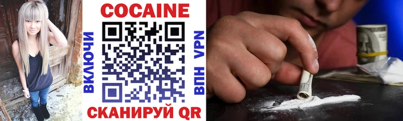 COCAIN Fish Scale  где купить наркоту  гидра ссылки  Ростов 
